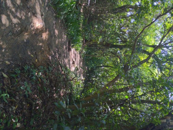 台北大縱走第五段1756538