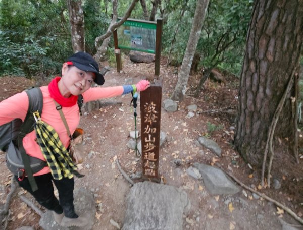 【谷關七雄】波津加(H1771.6m)肉腳配速成功2670535