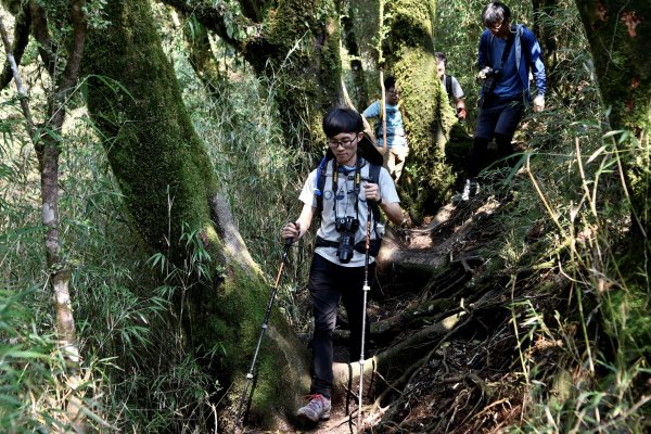 加里山。杜鵑嶺910927