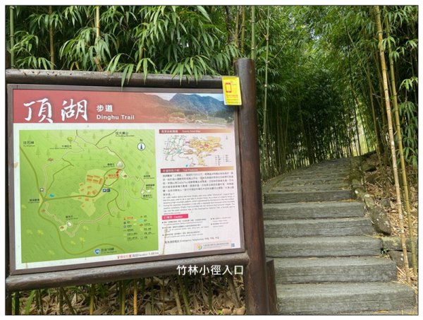 阿里山 頂湖步道 O遶一圈3088340