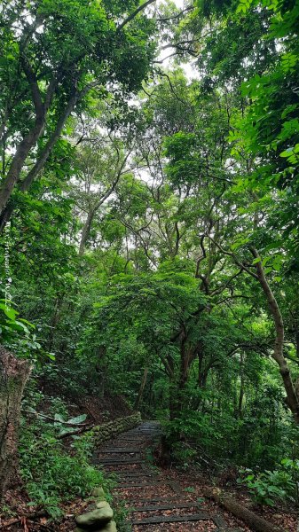 《彰化》西北雨後｜花壇大嶺巷步道群O繞202408242579751