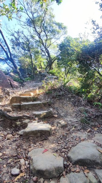 西湖捷運站-金面山-大崙頭山-圓覺-大湖公園捷運站2588698