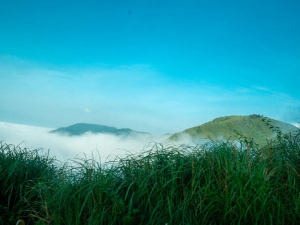 【行腳陽明山】初夏裡蒼翠欲滴的環七星山與百拉卡公路人車分道2188689