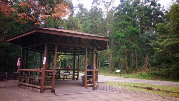 福山植物園1571428