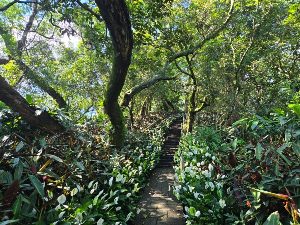火焰山、天上山（小百岳）O繞3076307