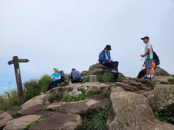 20230827 七星山三進三出練腳力，台北必訪步道任務2263632