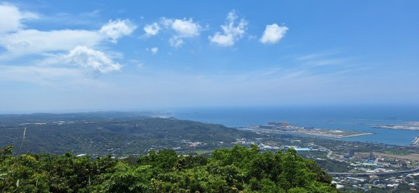 【2024觀音觀鷹尋寶任務】一日走完七條步道完成!2508404