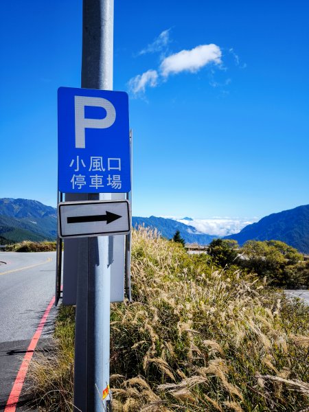 2025-11-07 合歡北峰、小溪營地、鷹石尖、北峰名樹2934320