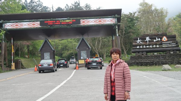 入住棲蘭山莊 一定要走榮民林業史蹟園區與小泰山步道一圈