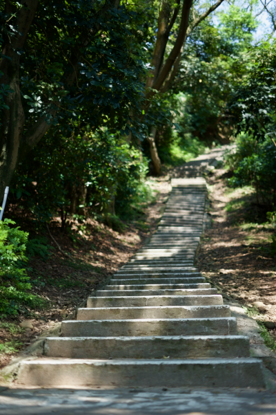 五酒桶山步道942737