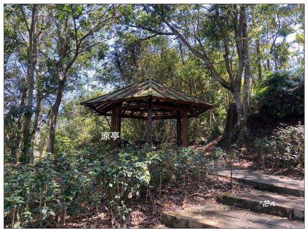 沙巴蘭山、慈恩塔步道 (日月潭)2743331