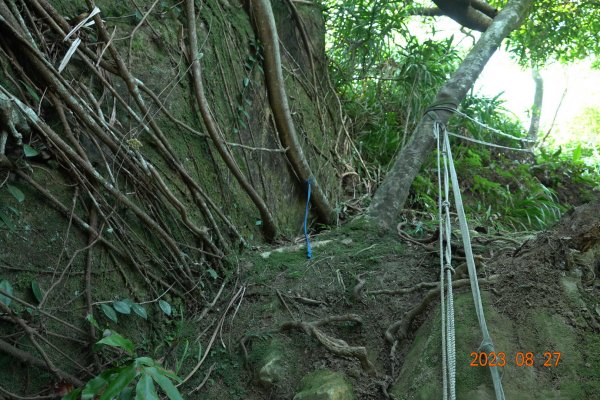 基隆 安樂 大武崙山、三角嶺頭山2268062