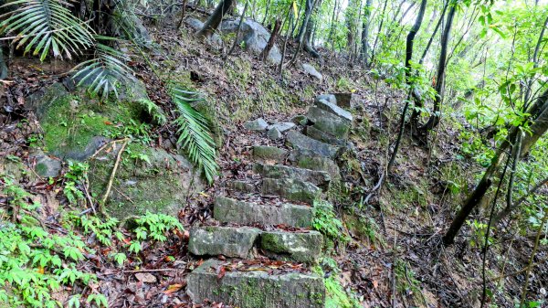 石笋古道,焿子寮古道,松子嶺古道2798353