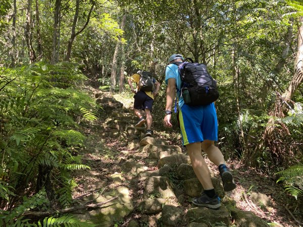 《五指山古道 × 石盤瀑布 × 友蚋山南峰 × 柯子林天然泳池｜尋訪山林古道與靜謐日式庭園》2923014