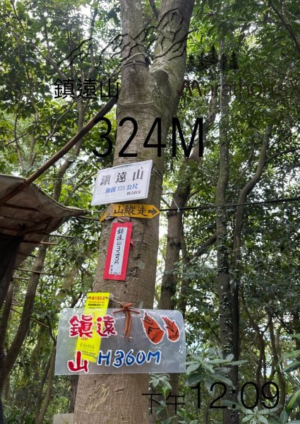 大棟山系第一段、第二段一起走2857262