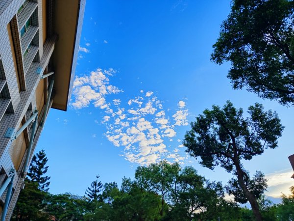 龜山到樹林散步一日遊2636199