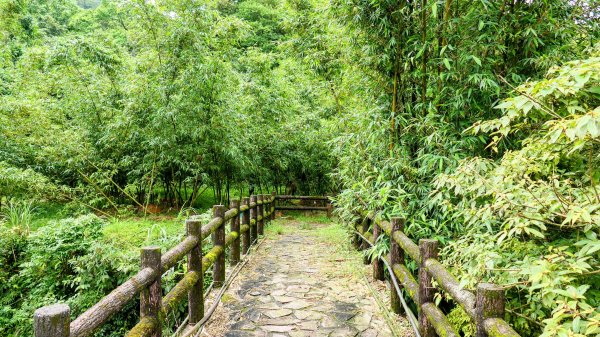 蛇子形古道。美廠產能完售2784733