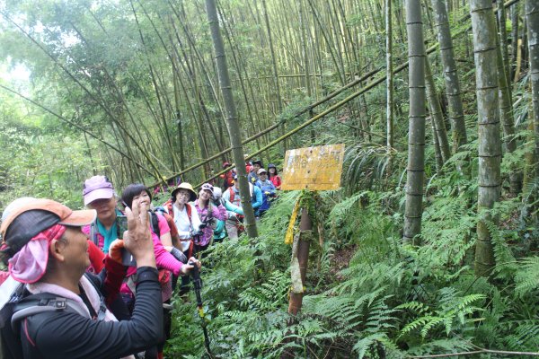 20210926南投圓山坑林道登鳳凰山下忘憂森林1473489