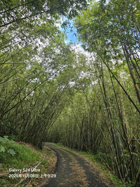 2025-11-08微笑山線：【五分山系】菁桐煤礦段2932703