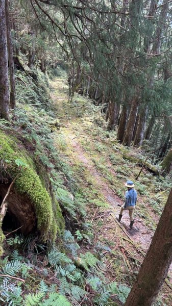 太平山運材軌道見晴線2588838