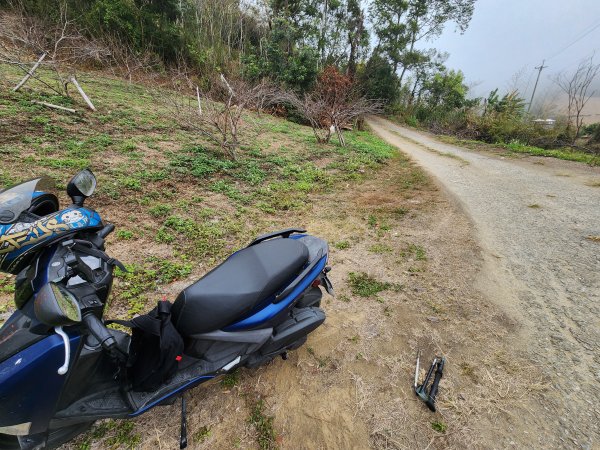 20260201雞冠山與黃麻園山(苗栗縣大湖鄉)3004225