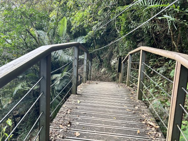 獨立山國家步道2969848