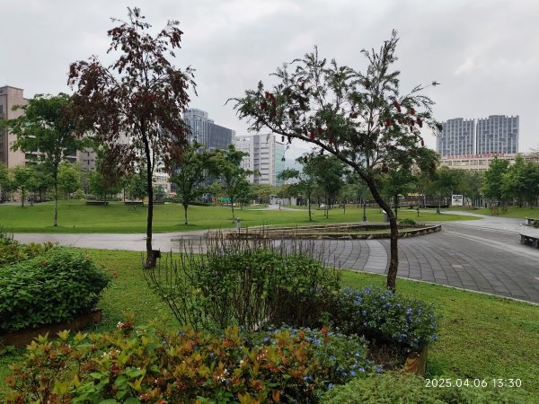台北漢來大飯店、宏匯瑞光廣場、大港墘公園2754559
