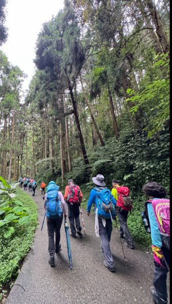 羊彎上武岫大崙山茶園尋山頭2825516