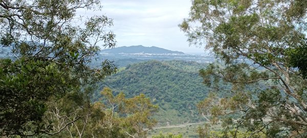 2024/06/30-大克山砲台古道2539733