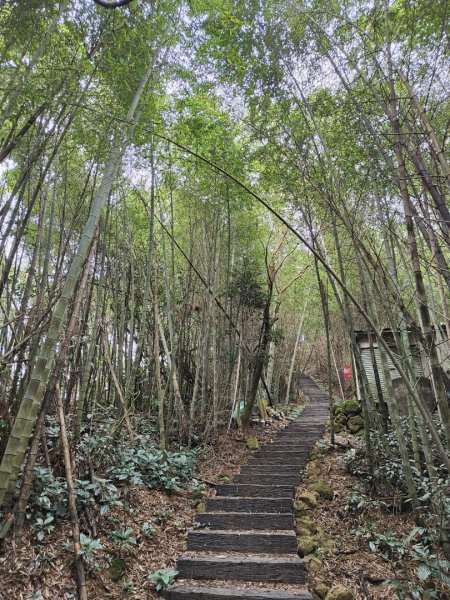 2023.12.23 梨子腳山2833260