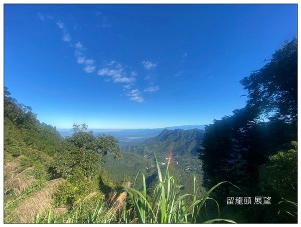 嶺頭山、金柑樹山、忘憂森林 O型一圈2944636