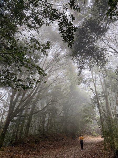 雪霸國家公園 雪見遊憩區 東洗水山2928576