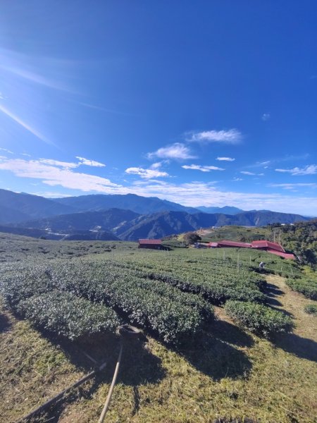 南東眼山連走有勝山2918723