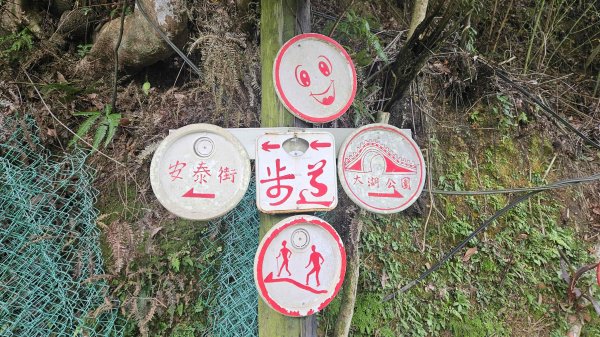 20250902大湖山東南峰-康樂山北峰-明舉山東峰-安湖公園-火炭坑山(騎車爬山)2878441