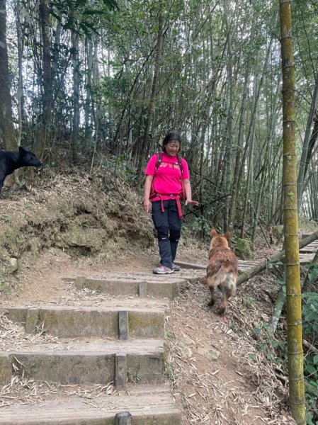 嘉雲南大尖山和二尖山1273090