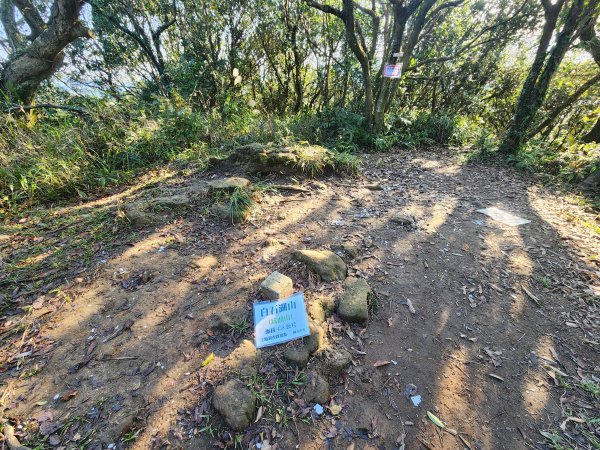 20260110大湖公園捷運站至擎天崗2993196