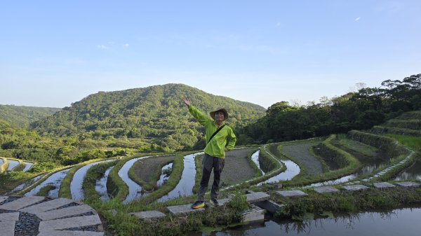 免出國免門票，連綿壯闊的梯田風情，全臺唯一梯田鳶尾花海，嵩山百年梯田2764677