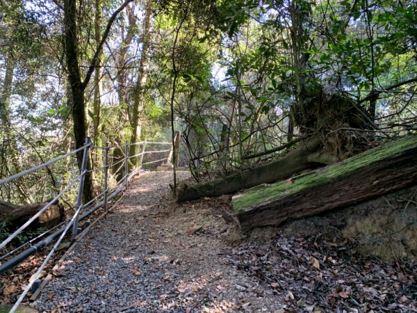 梨山賓館步道875970