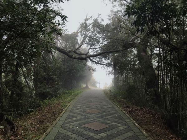 丸田砲台遺址步道276374