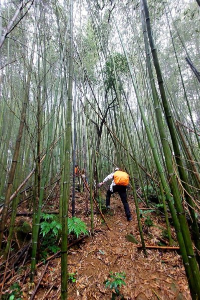 新竹內灣麥樹仁山五連峰2763832