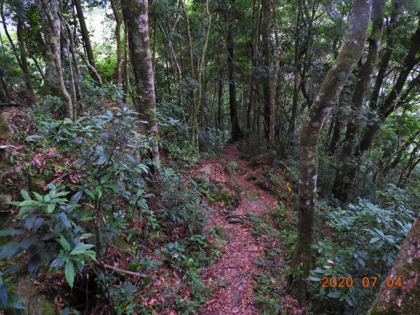 新竹 五峰 大窩山、比林山1020607