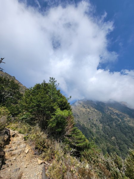 20260315-玉山前峰3018721