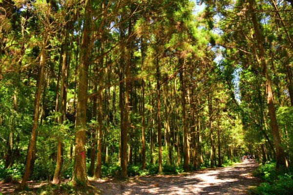 坪溪古道封面