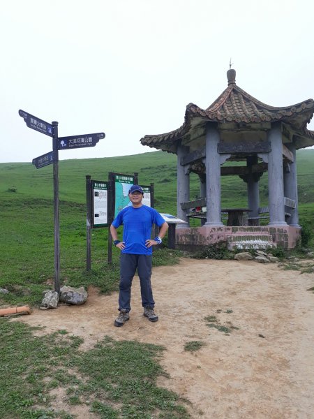 《新北》草原牛群｜貢寮桃源谷步道(內寮線)201805172887799