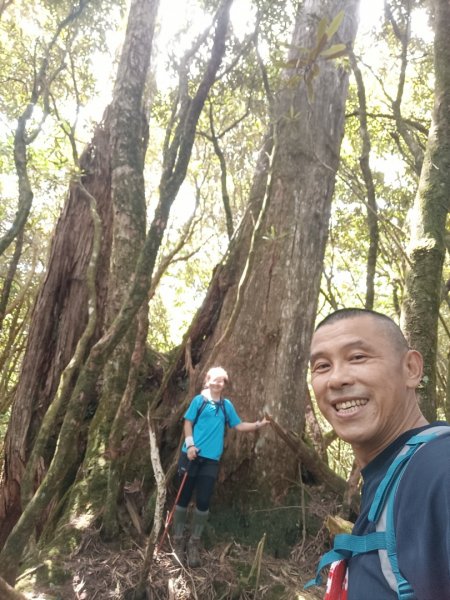 低陸山-嘎拉賀神木1765088
