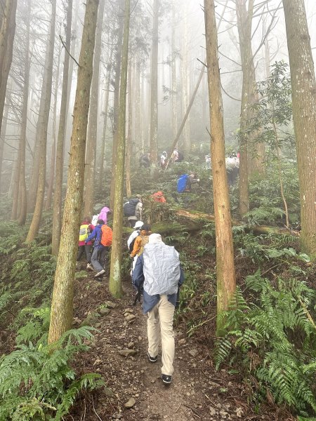 年輕人爬山趣～油羅山 4/15 20232160356