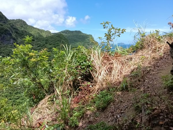 瑞芳區黃金8.5稜+南雅山O型2866458