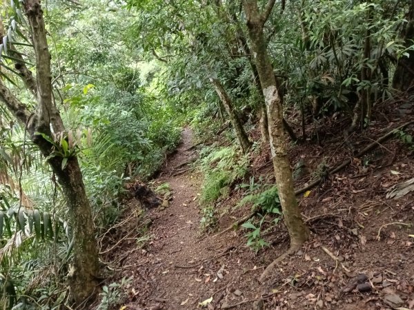 頭城鎮石城車站+隆嶺越嶺古道+隆嶺溪畔古道+福隆車站3002267