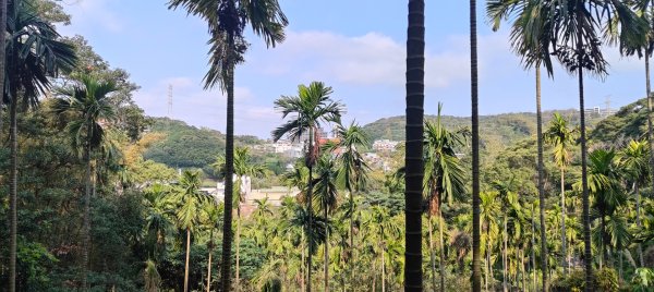 福源山步道2730314