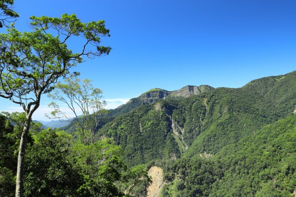 阿里山三霞 -- 楠梓仙溪左岸 南霞山1490233